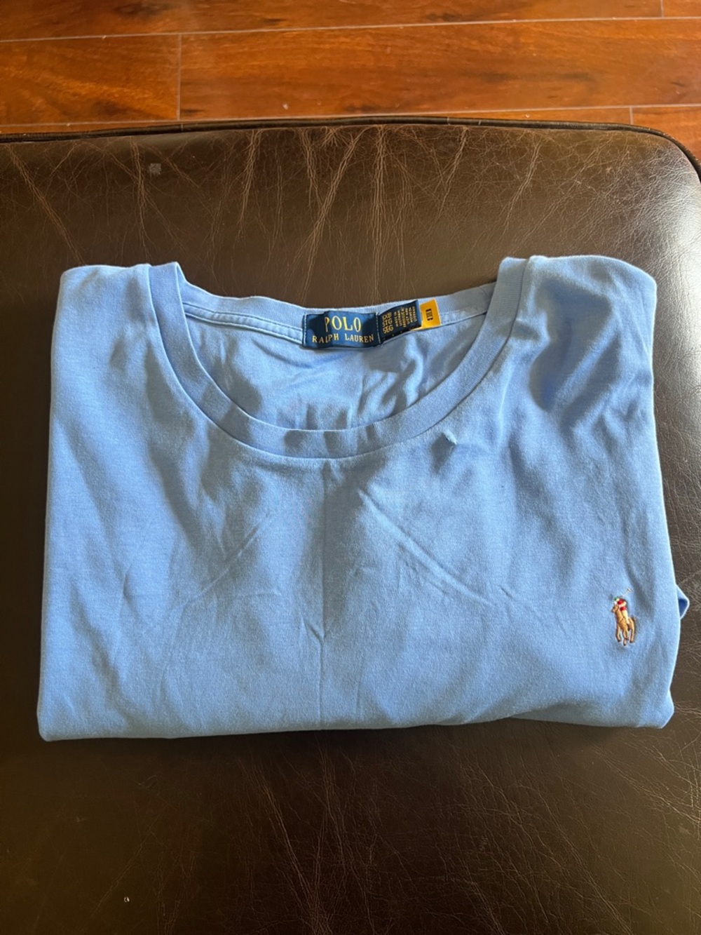 Polo by Ralph Lauren Light Blue Crewneck Shirt with Embroidered Pony